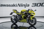 Kawasaki Ninja 300